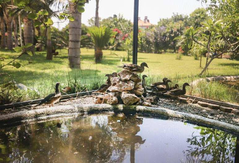 Camyuva Motel Kemer Ngoại thất bức ảnh