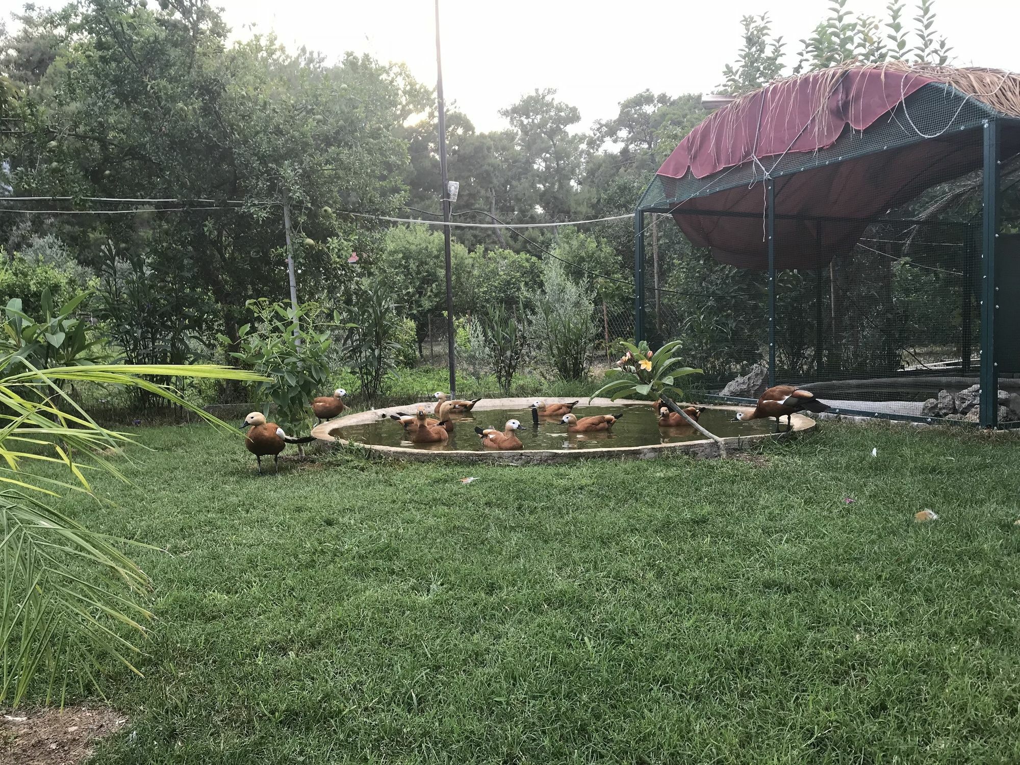 Camyuva Motel Kemer Ngoại thất bức ảnh